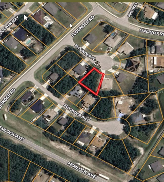 204 FLOUNDER PL, KISSIMMEE, FL, 34759