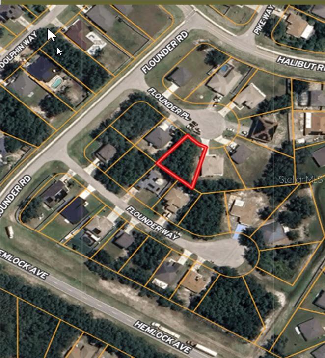 204 FLOUNDER PL, KISSIMMEE, FL, 34759