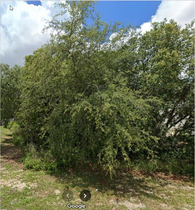 204 FLOUNDER PL, KISSIMMEE, FL, 34759
