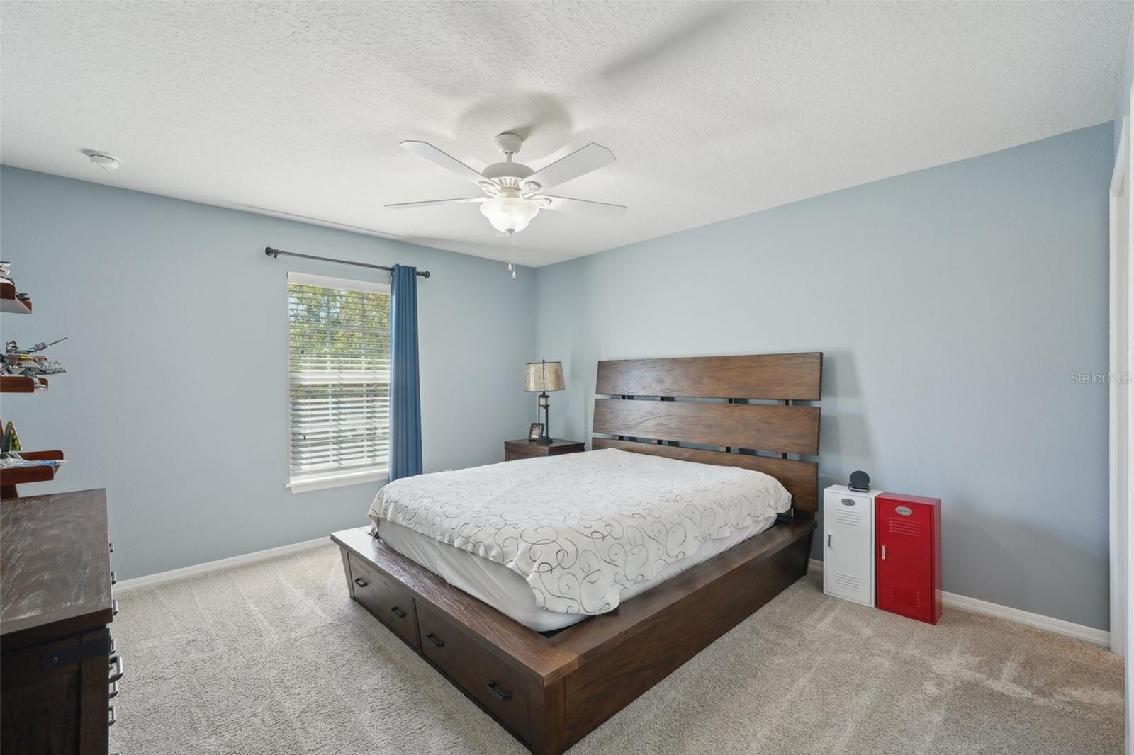 2807 CYPRESS BOWL RD, LUTZ, FL, 33558