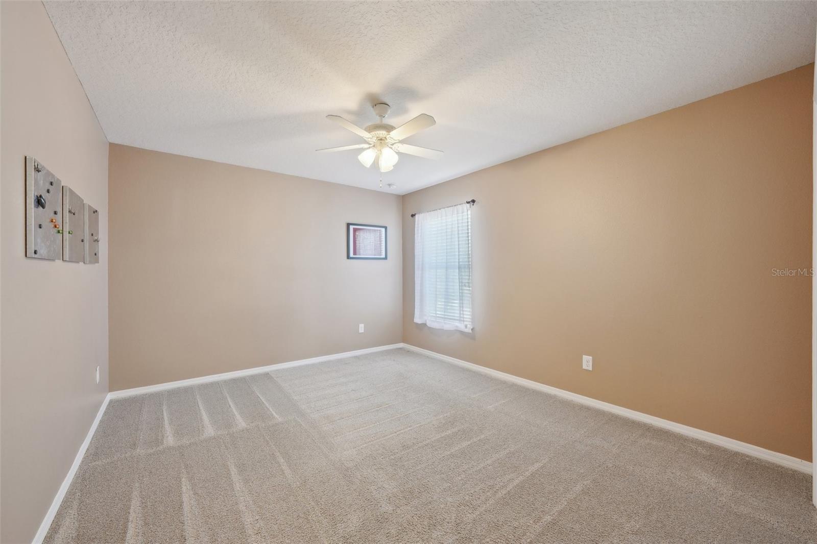 2807 CYPRESS BOWL RD, LUTZ, FL, 33558