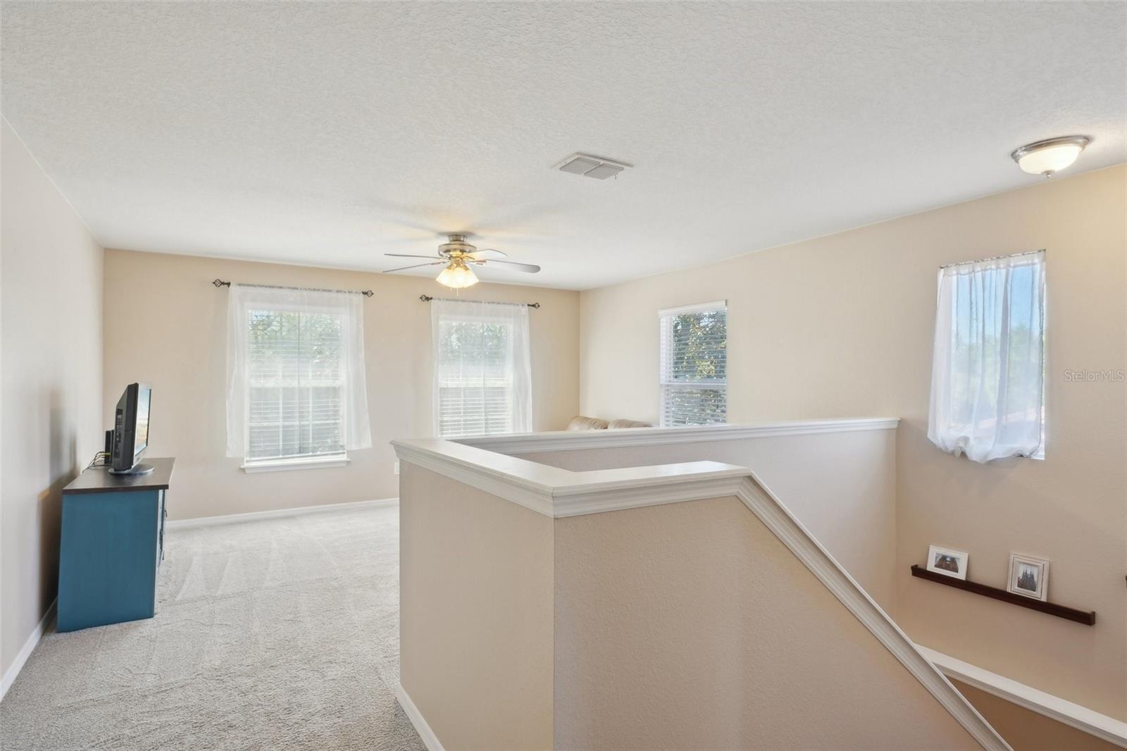 2807 CYPRESS BOWL RD, LUTZ, FL, 33558