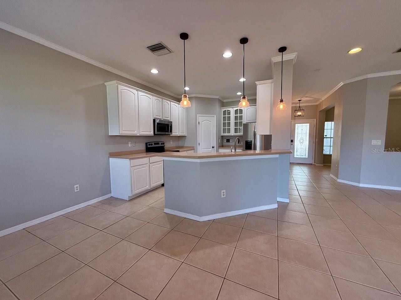 1232 EMERALD HILL WAY, VALRICO, FL, 33594