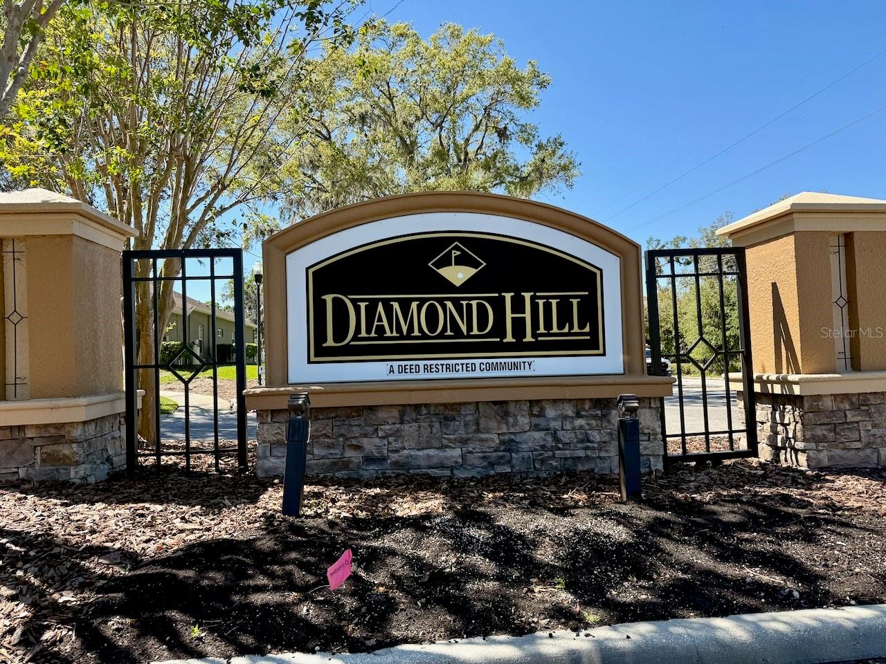 1232 EMERALD HILL WAY, VALRICO, FL, 33594