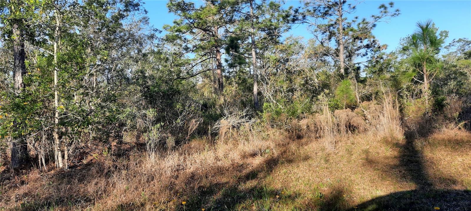 623 GRANADA DR, INDIAN LAKE ESTATES, FL, 33855