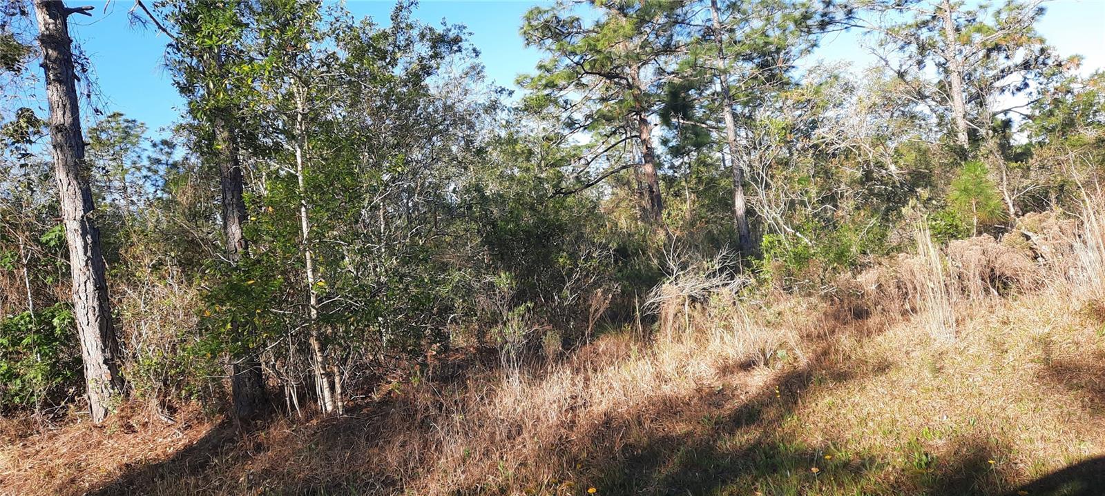 623 GRANADA DR, INDIAN LAKE ESTATES, FL, 33855