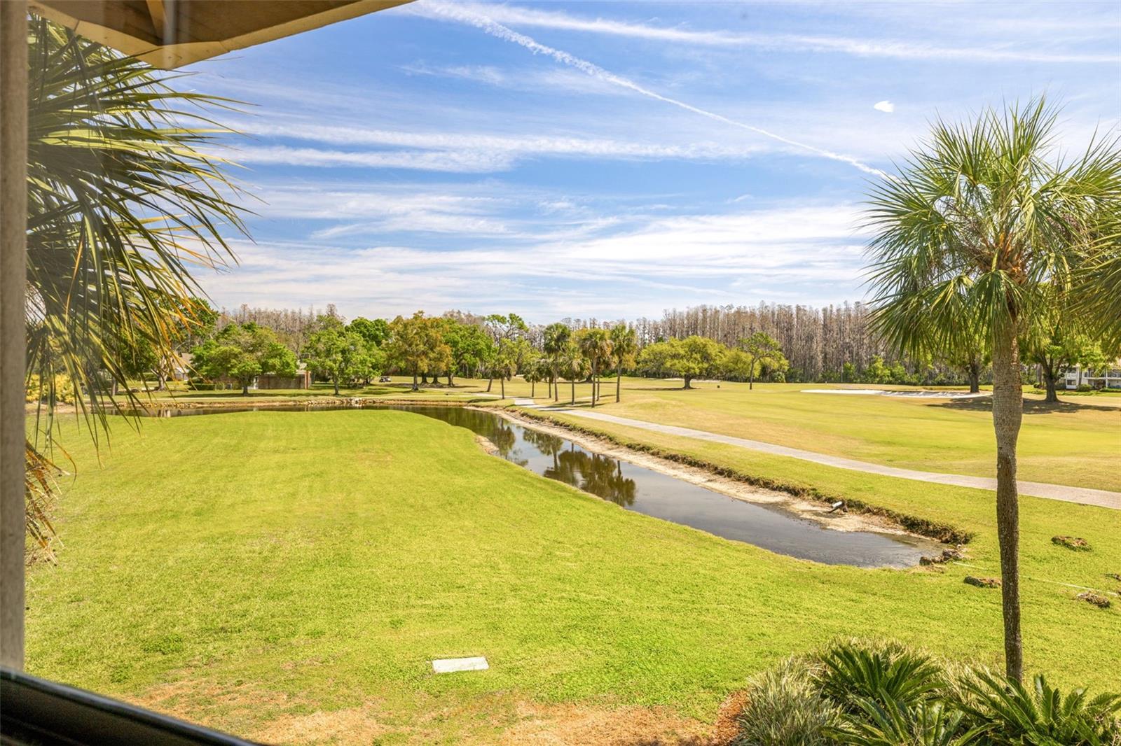 5020 MILL POND RD #3158 & 3160, WESLEY CHAPEL, FL, 33543