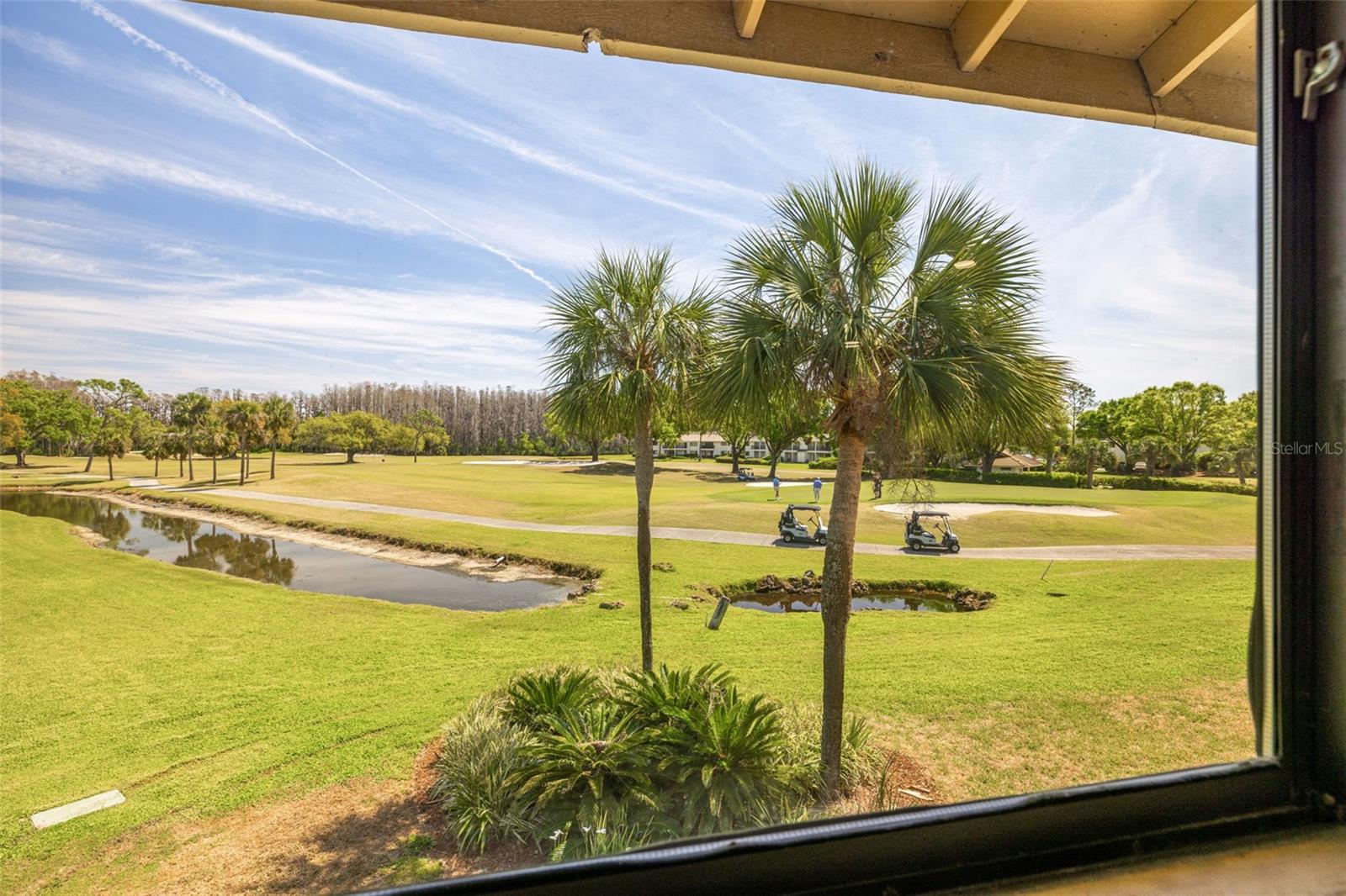 5020 MILL POND RD #3158 & 3160, WESLEY CHAPEL, FL, 33543