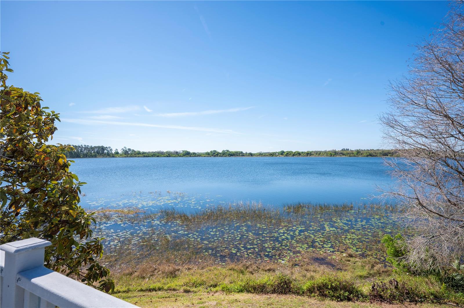 11 BLUE QUILL CIR, LAKE WALES, FL, 33898