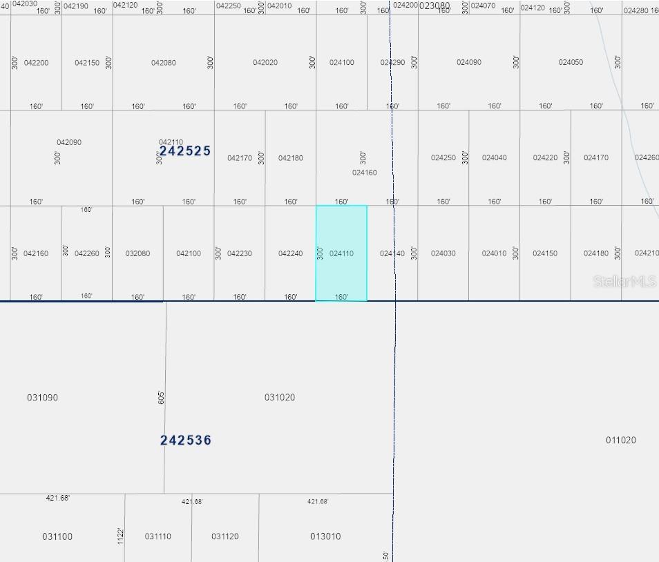 INACCESSIBLE TRACTS, POLK CITY, FL, 33868