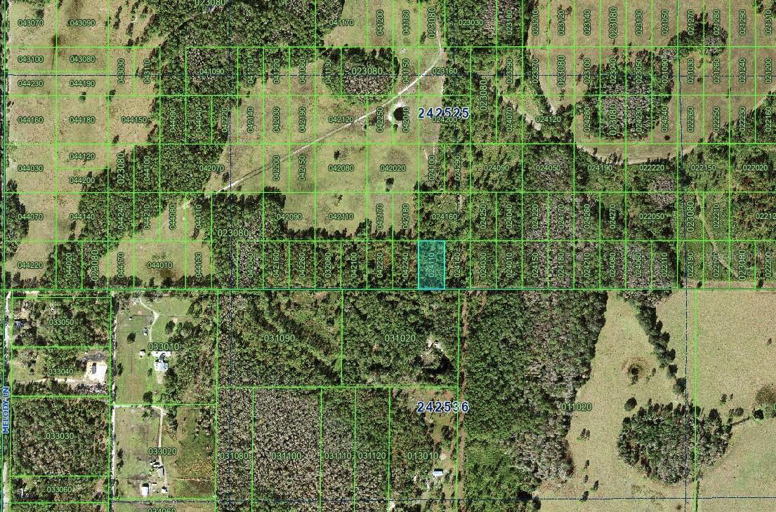 INACCESSIBLE TRACTS, POLK CITY, FL, 33868