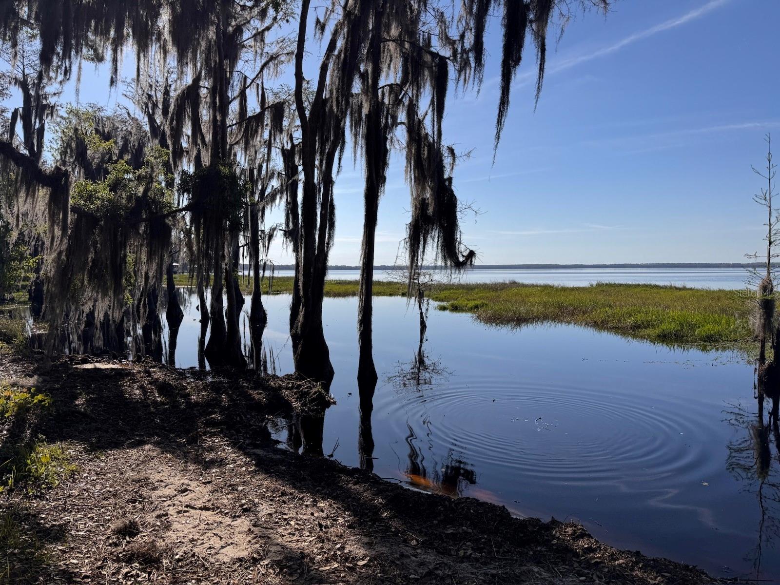 12945 GLEASON WAY, CLERMONT, FL, 34711