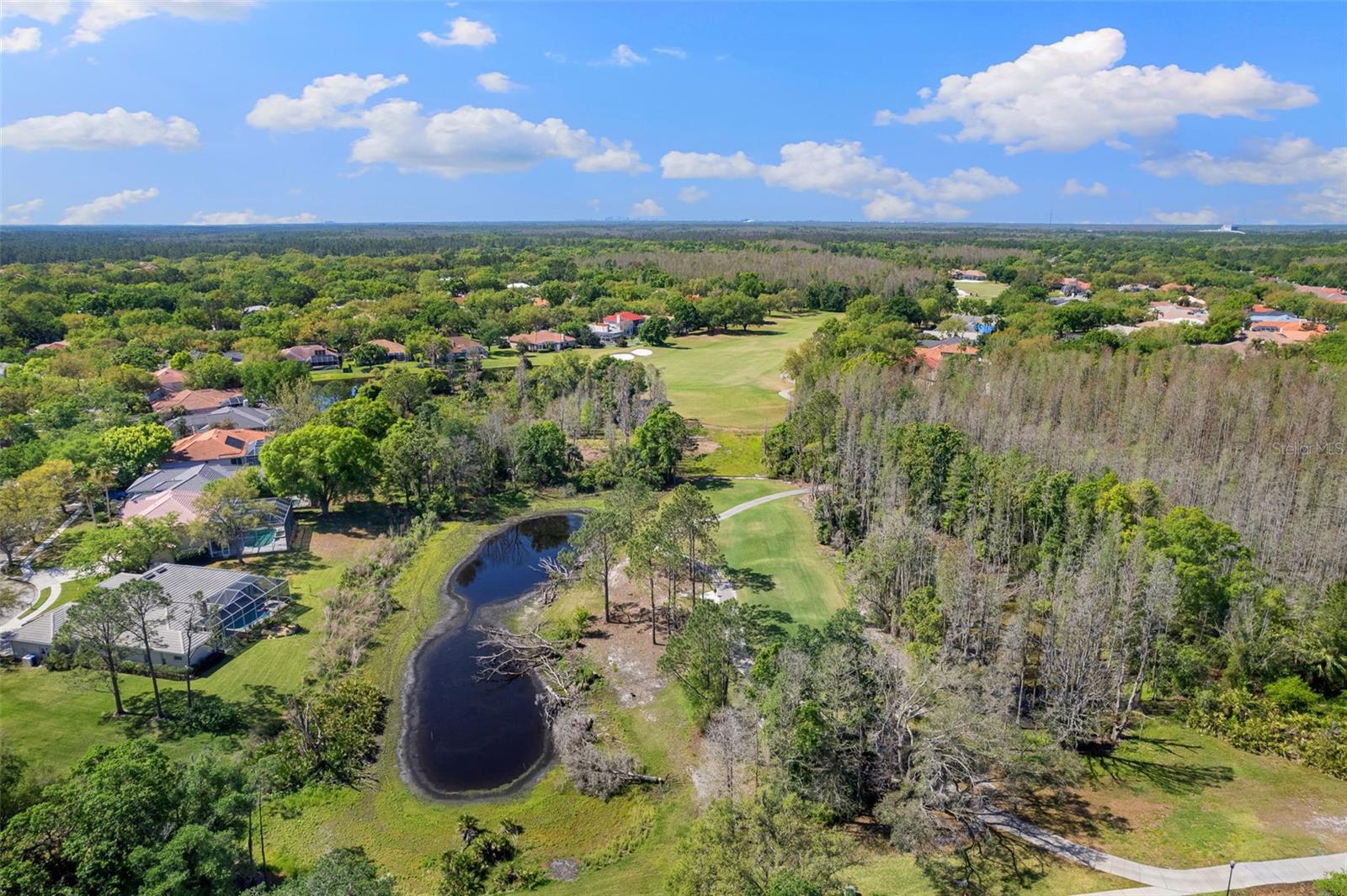 18132 REGENTS SQUARE DR, TAMPA, FL, 33647