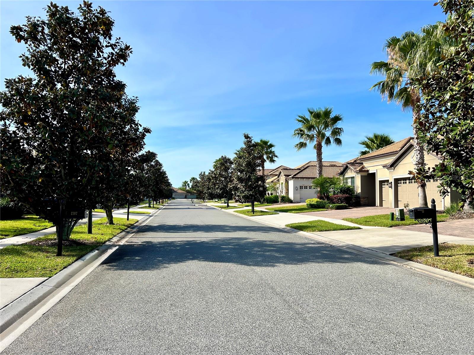 1307 MOSS CREEK LN, DAVENPORT, FL, 33896