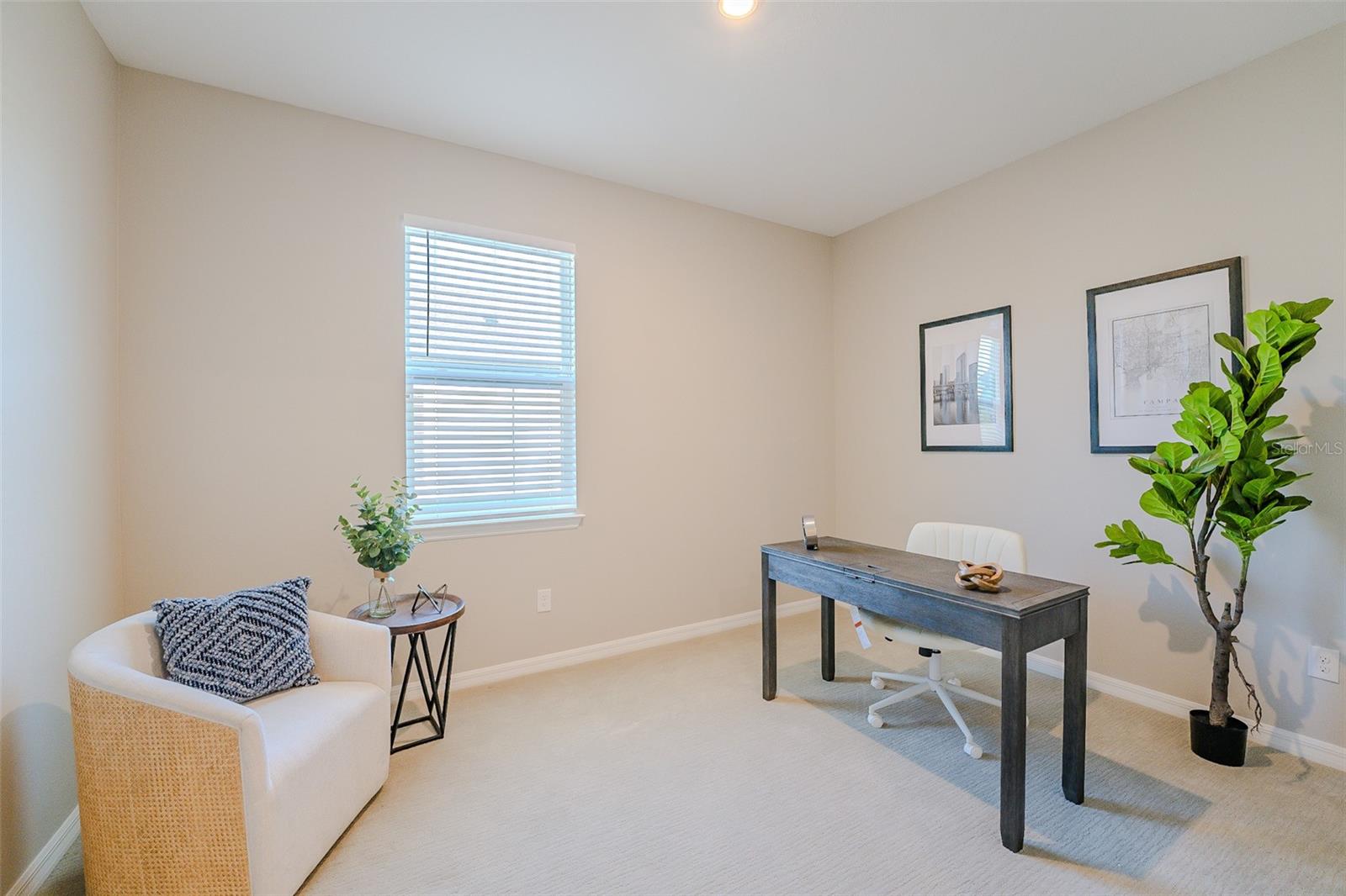 34329 EVERGREEN HILL CT, WESLEY CHAPEL, FL, 33545
