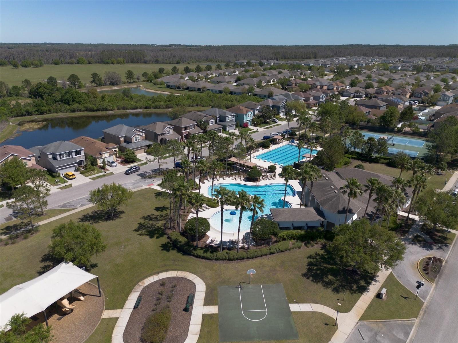 34329 EVERGREEN HILL CT, WESLEY CHAPEL, FL, 33545