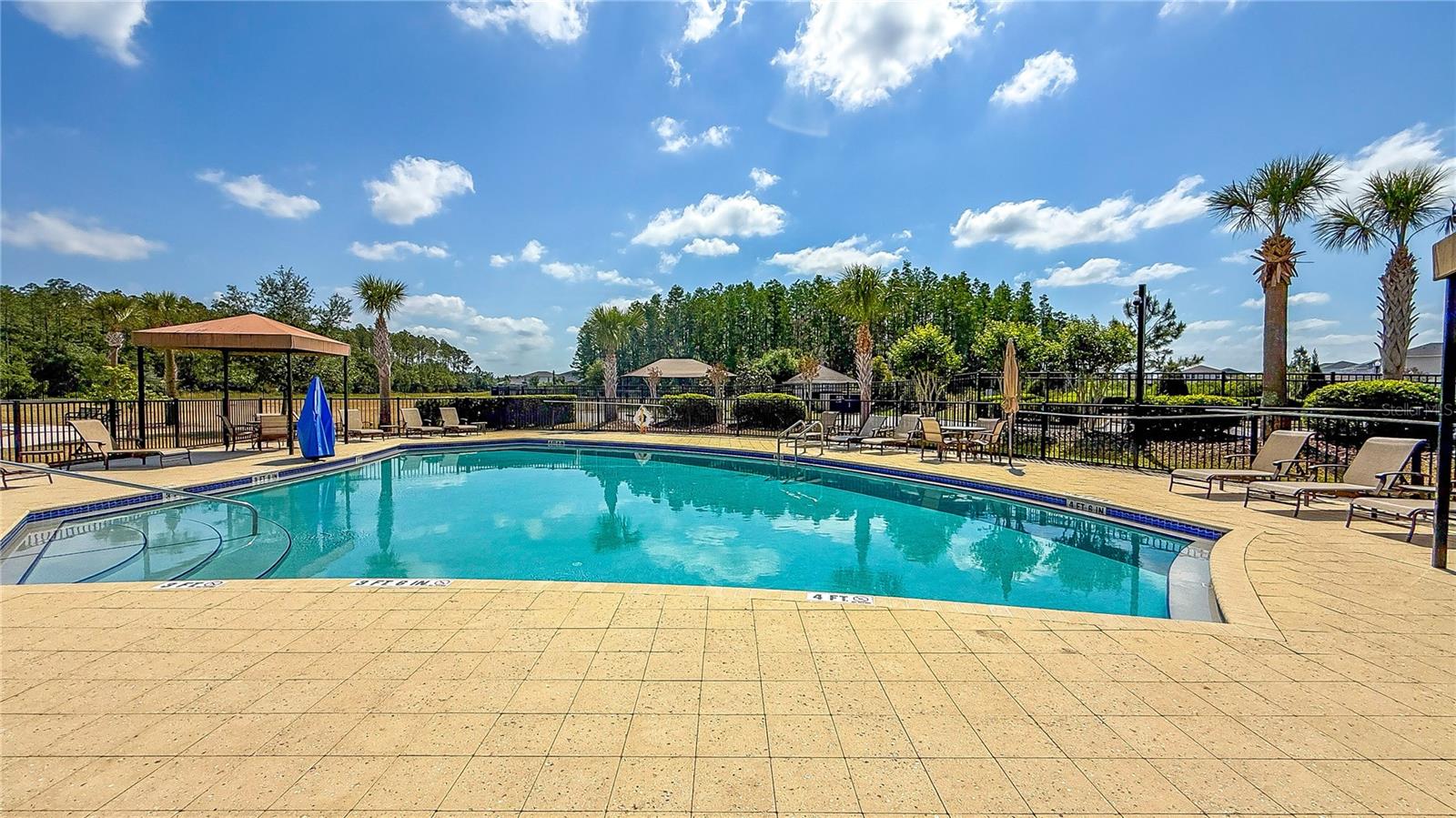 34329 EVERGREEN HILL CT, WESLEY CHAPEL, FL, 33545