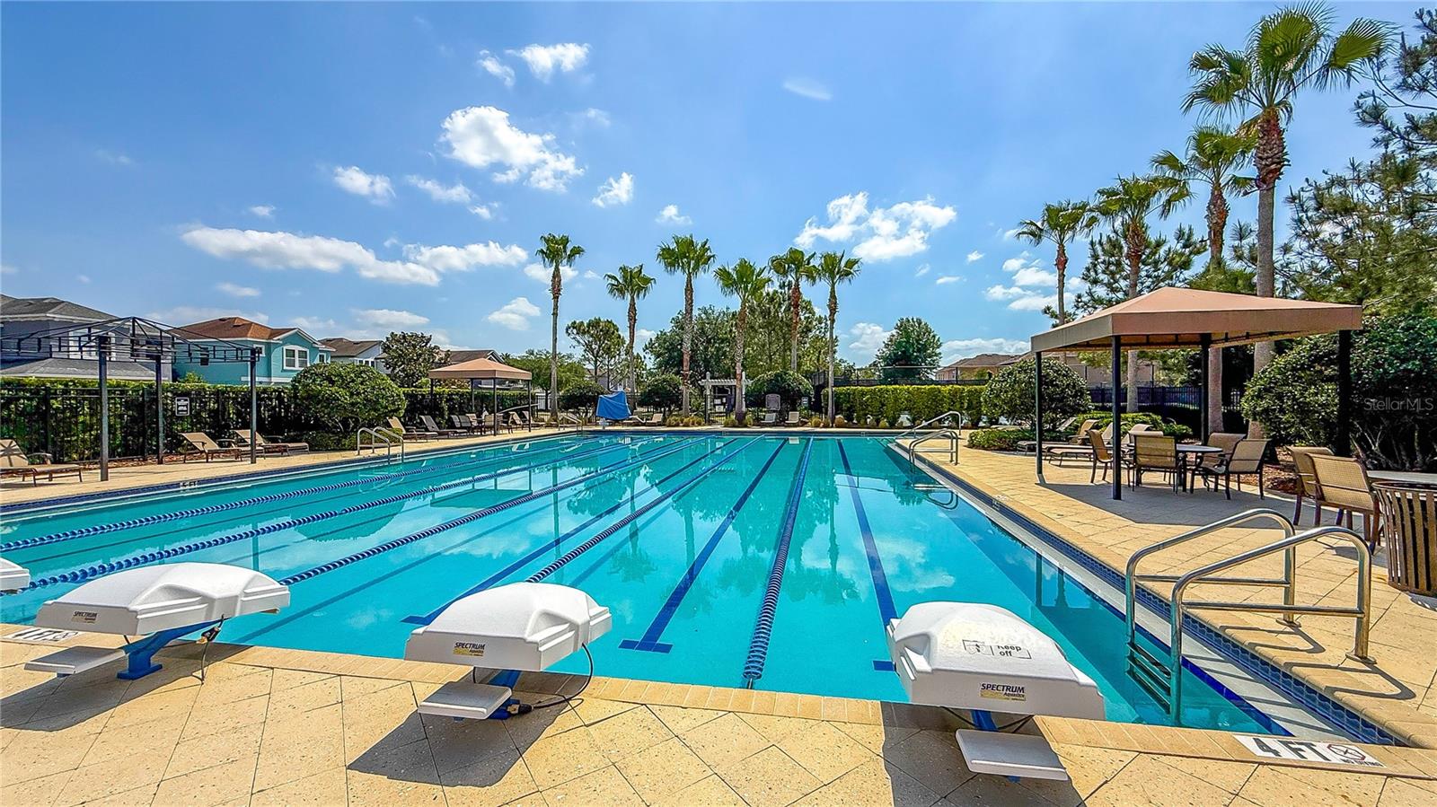 34329 EVERGREEN HILL CT, WESLEY CHAPEL, FL, 33545