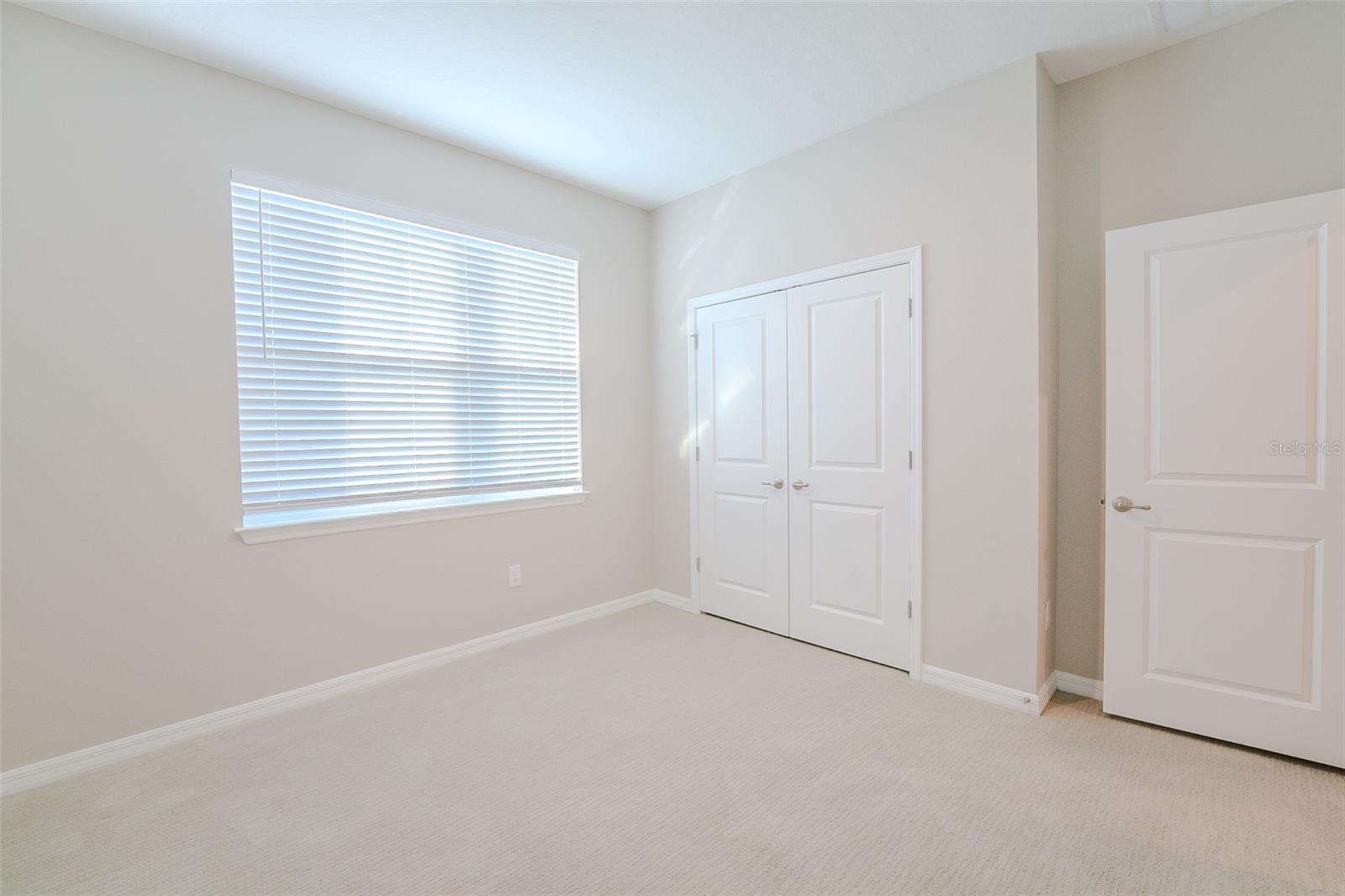 34329 EVERGREEN HILL CT, WESLEY CHAPEL, FL, 33545
