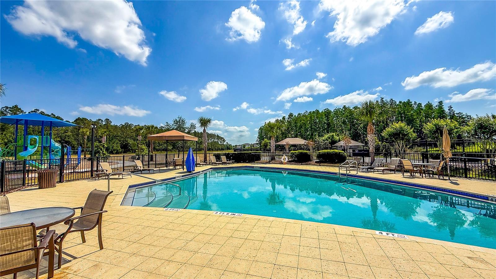 34329 EVERGREEN HILL CT, WESLEY CHAPEL, FL, 33545