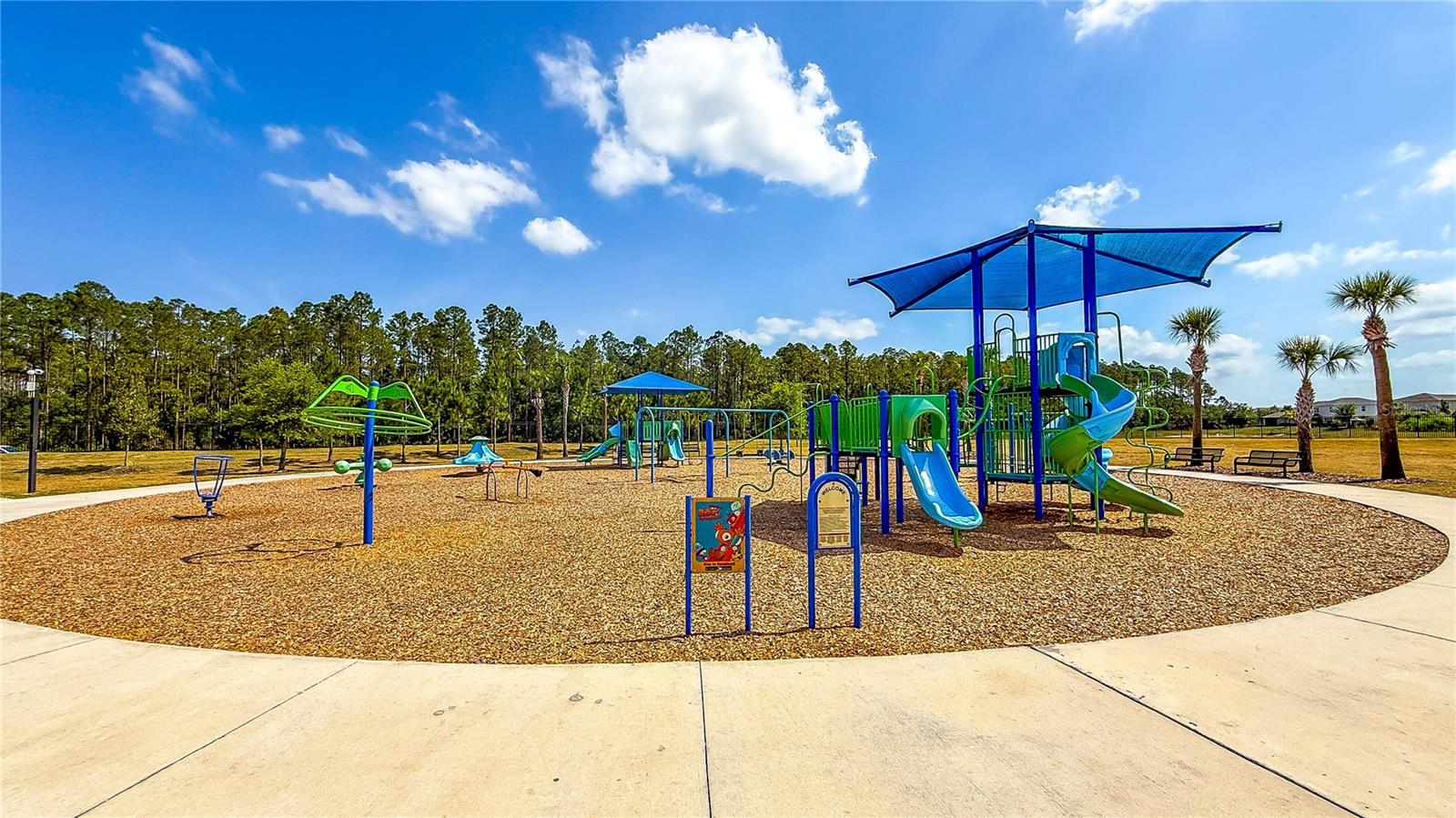 34329 EVERGREEN HILL CT, WESLEY CHAPEL, FL, 33545