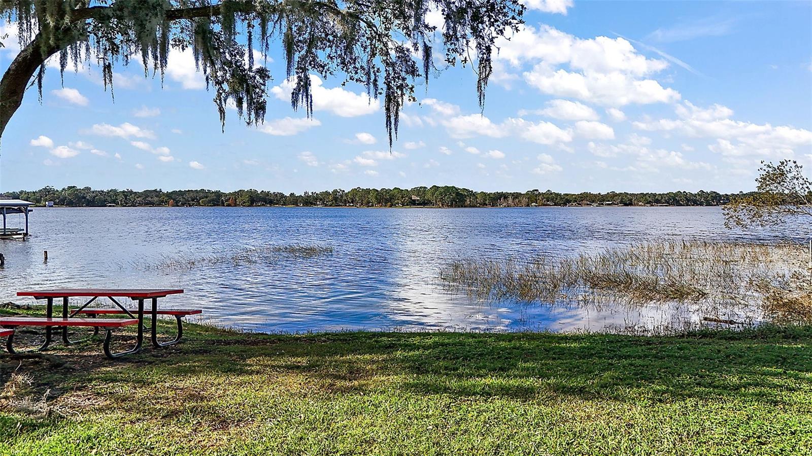 33736 E LAKE JOANNA DR, EUSTIS, FL, 32736