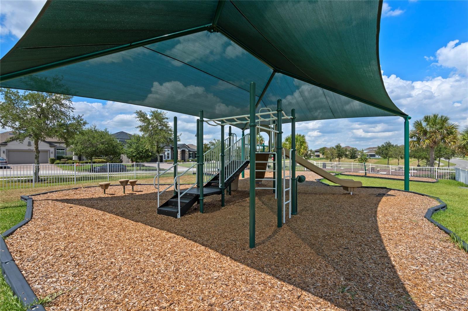 16003 TANGERINE BLOSSOM WAY, WINTER GARDEN, FL, 34787