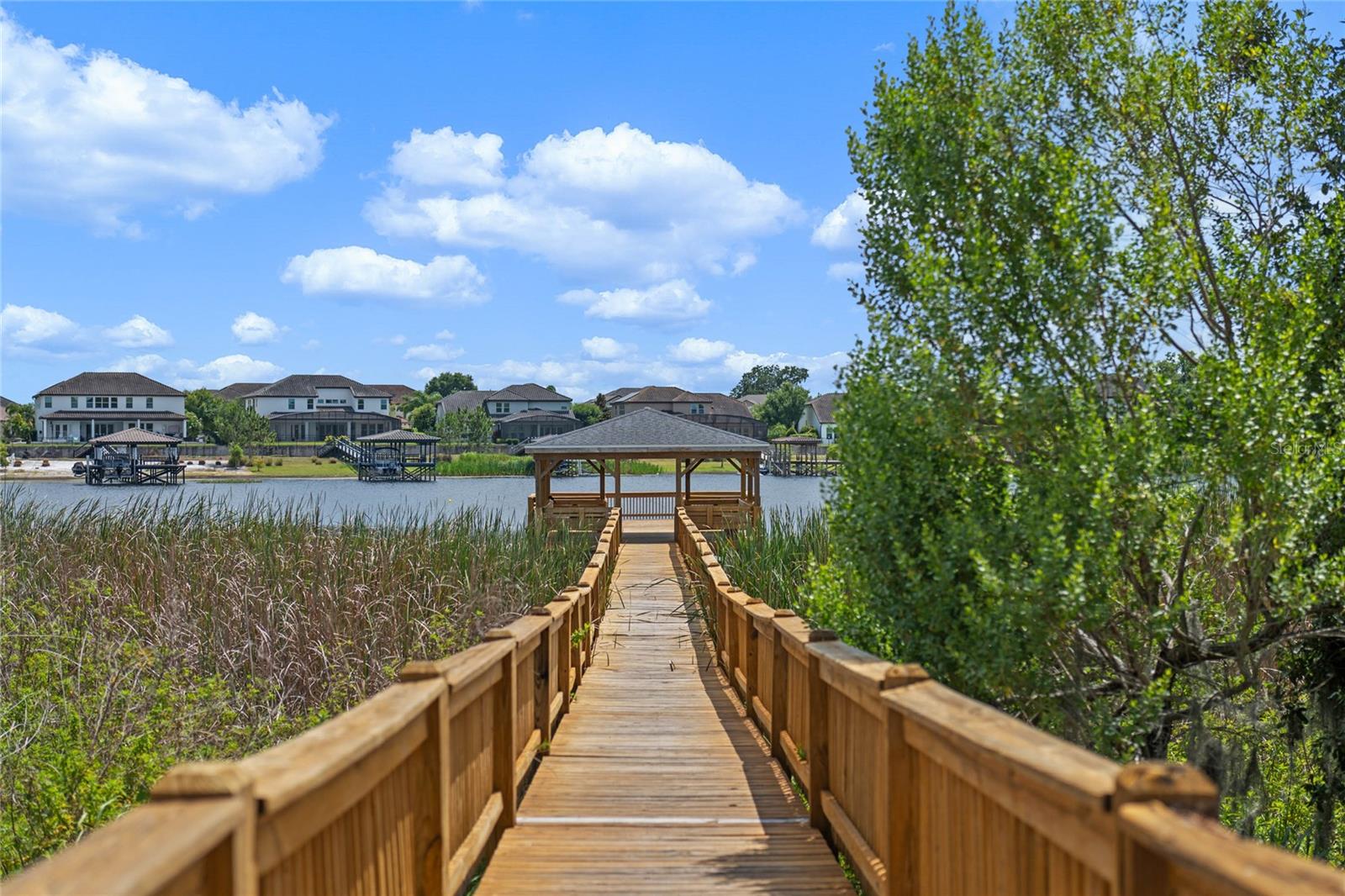 16003 TANGERINE BLOSSOM WAY, WINTER GARDEN, FL, 34787