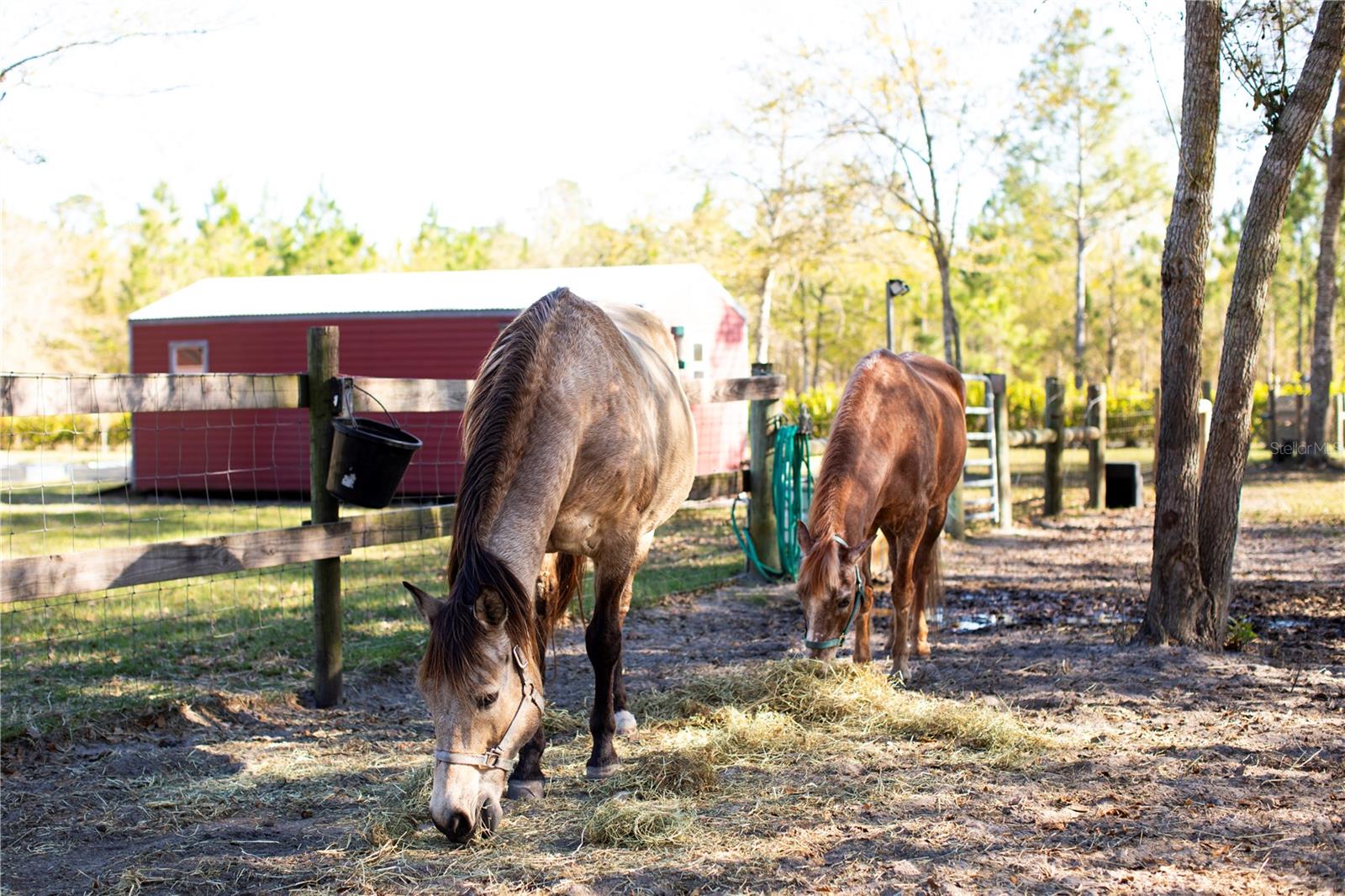 14394 BOB BURNSED RD, GLEN ST MARY, FL, 32040