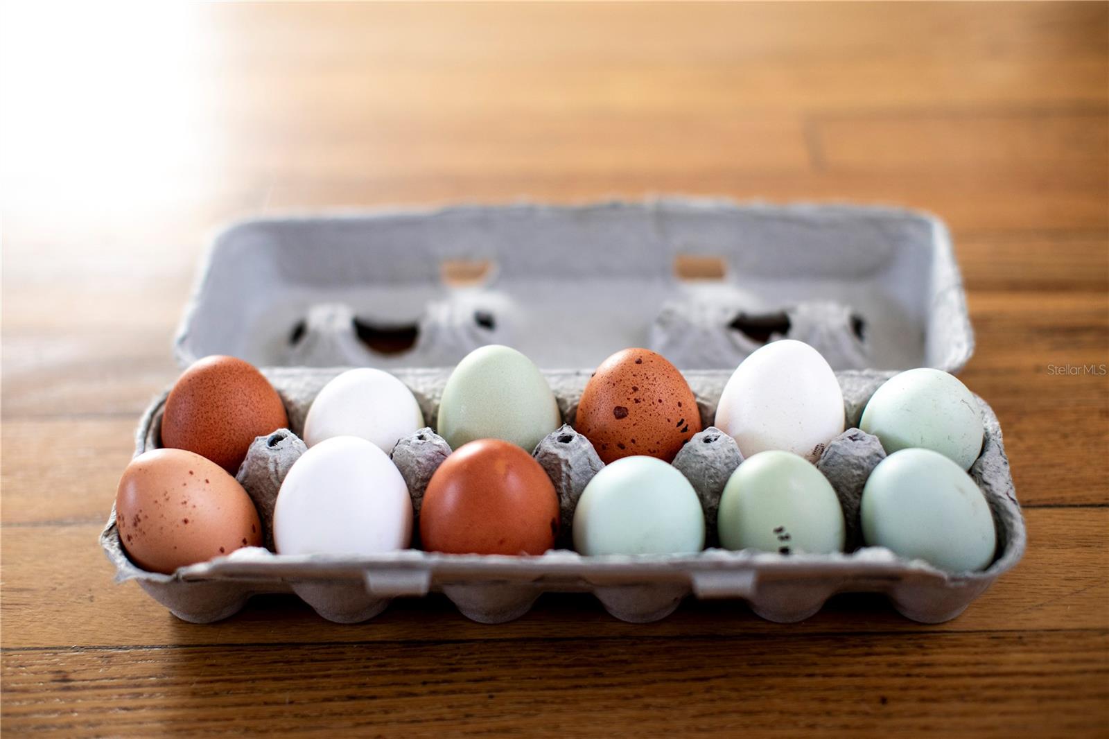 14394 BOB BURNSED RD, GLEN ST MARY, FL, 32040