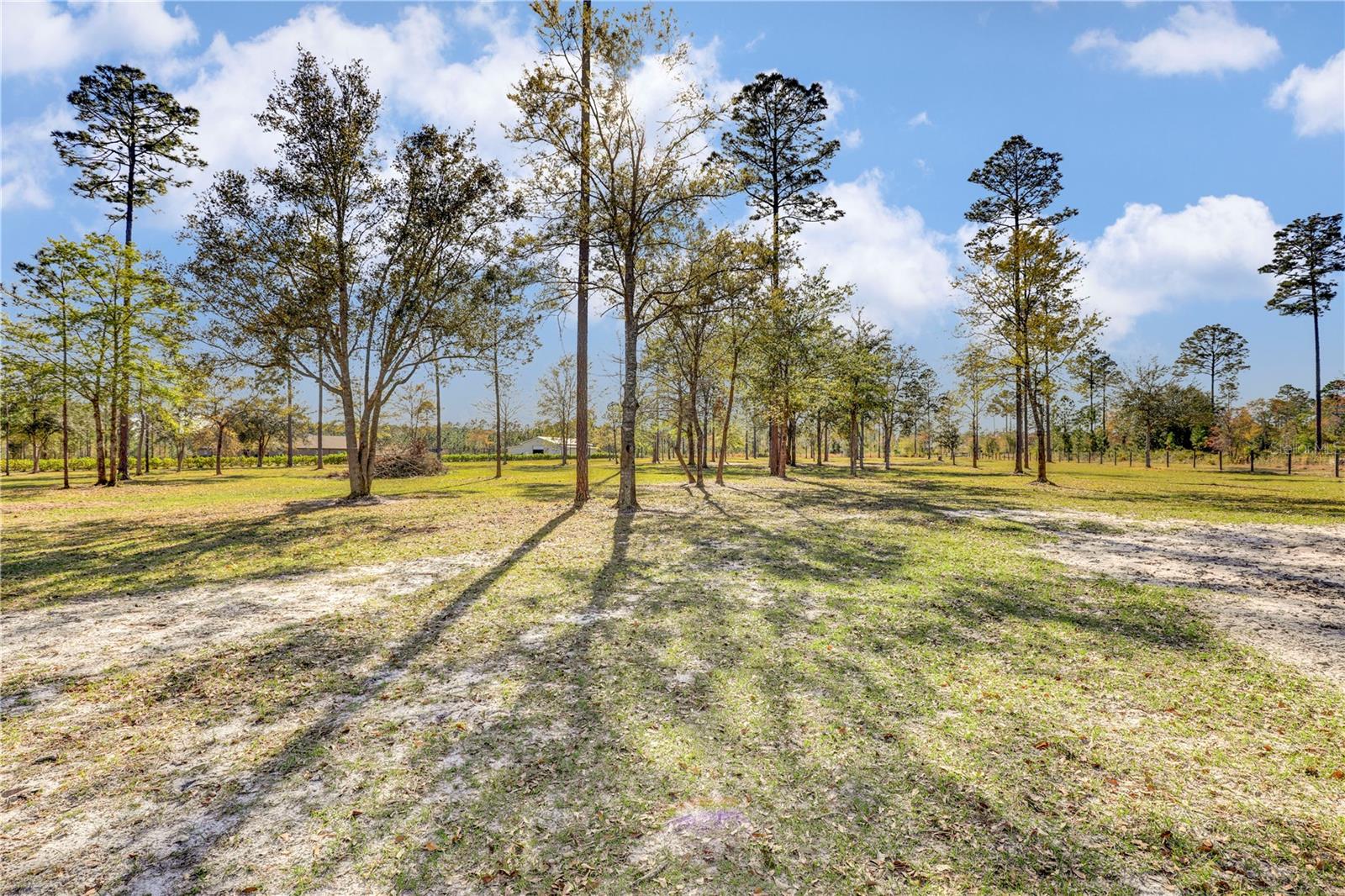 14394 BOB BURNSED RD, GLEN ST MARY, FL, 32040