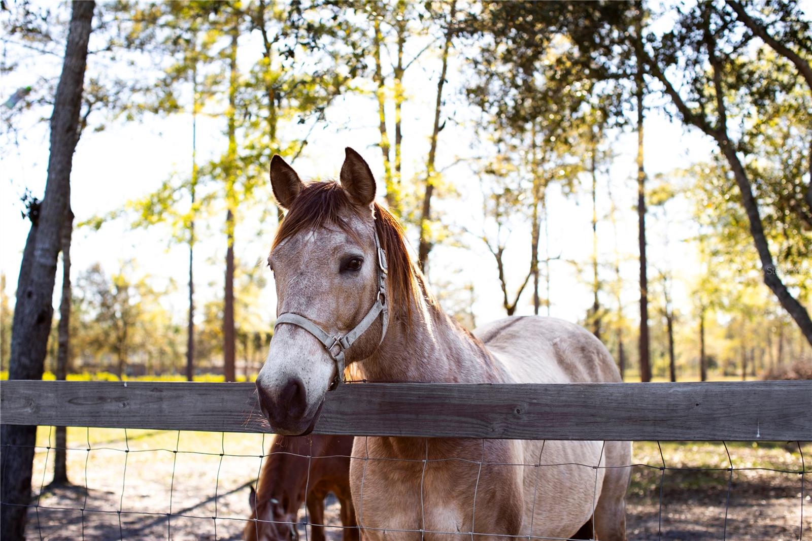 14394 BOB BURNSED RD, GLEN ST MARY, FL, 32040