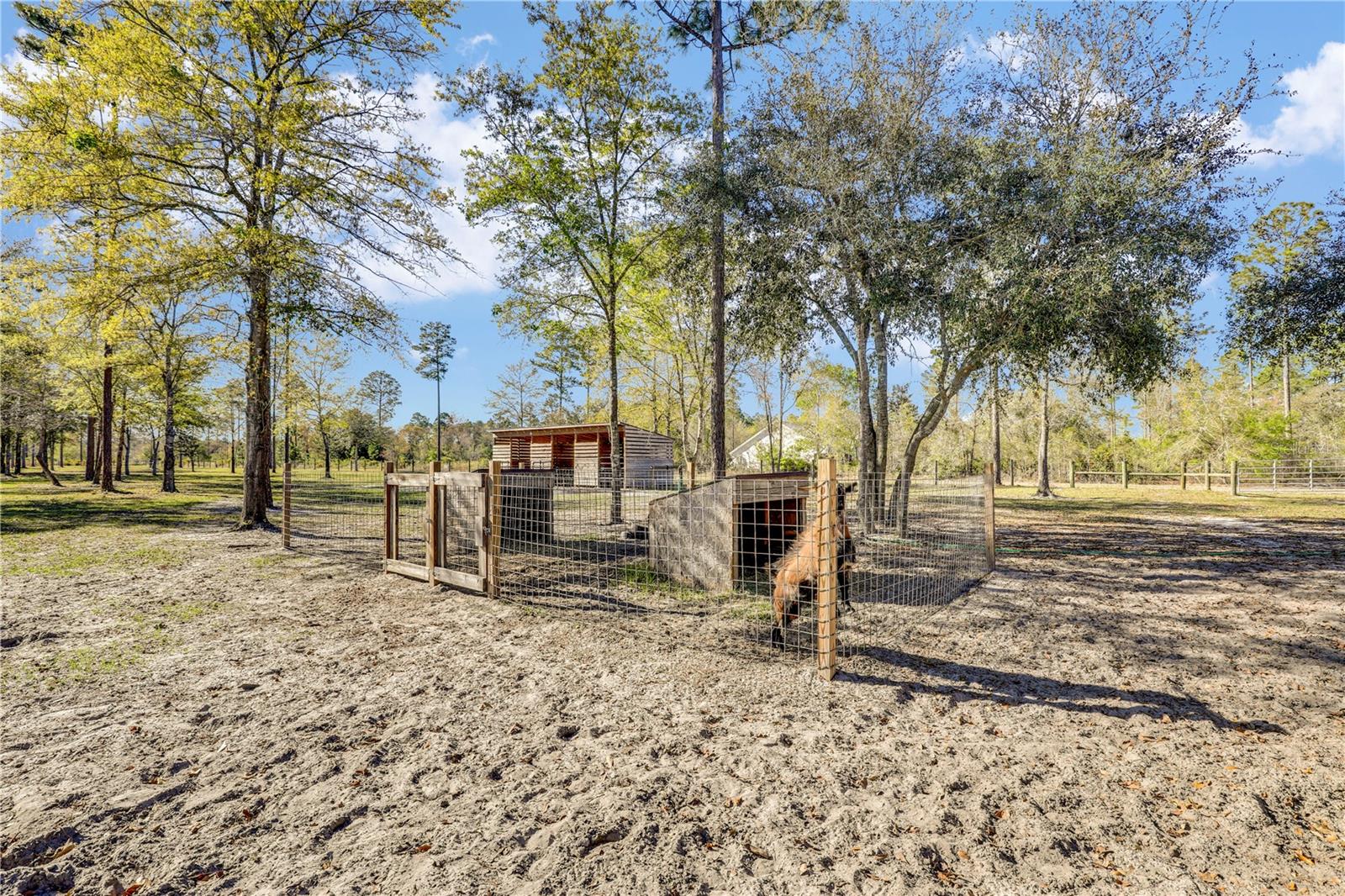 14394 BOB BURNSED RD, GLEN ST MARY, FL, 32040