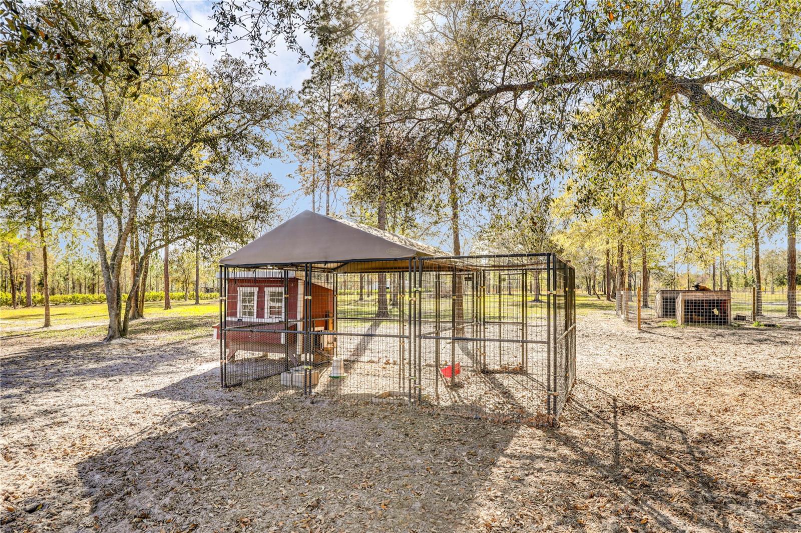 14394 BOB BURNSED RD, GLEN ST MARY, FL, 32040