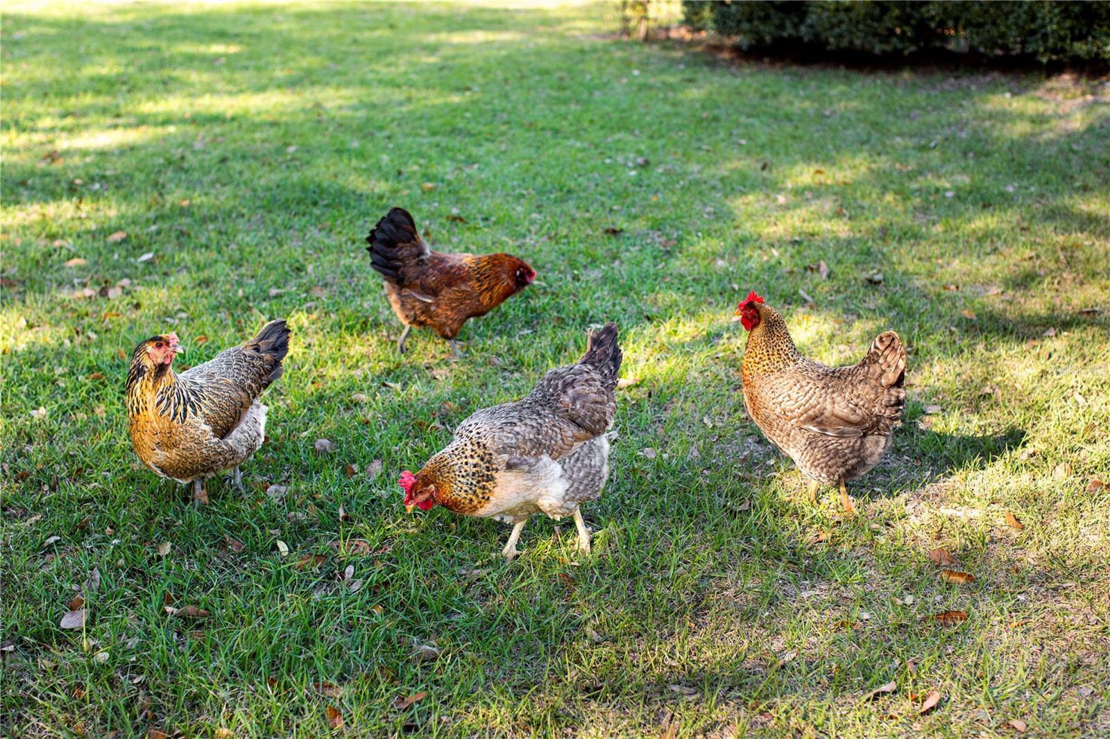 14394 BOB BURNSED RD, GLEN ST MARY, FL, 32040