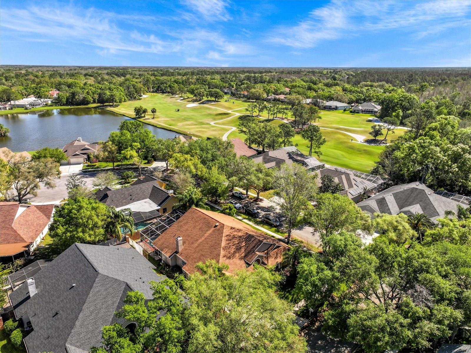 8746 TANTALLON CIR, TAMPA, FL, 33647