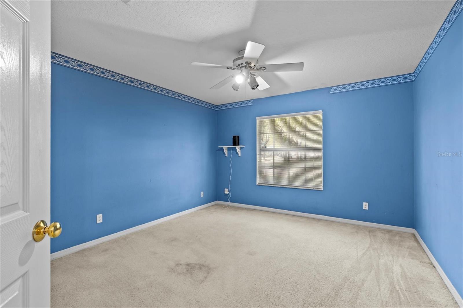 8746 TANTALLON CIR, TAMPA, FL, 33647
