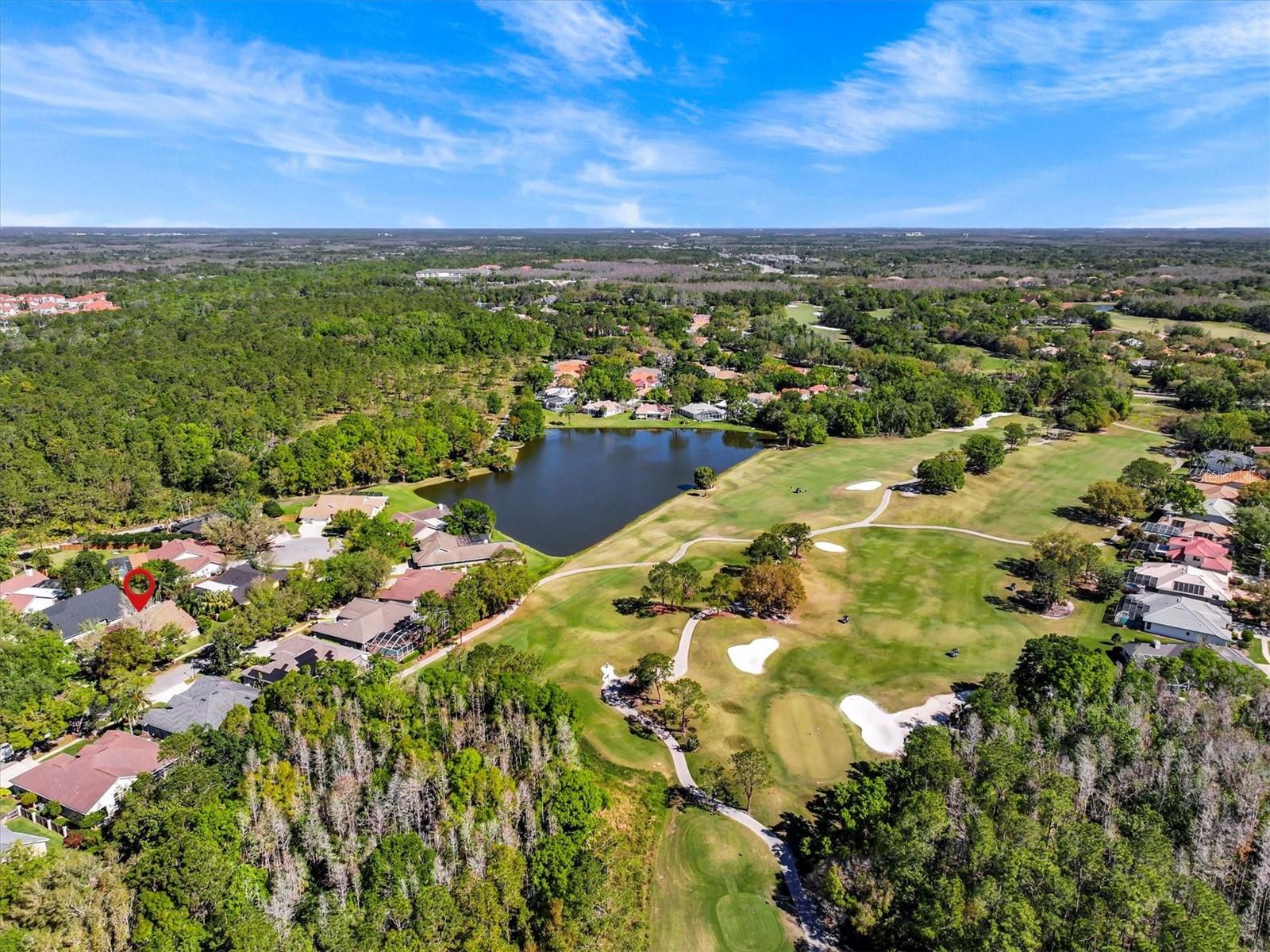 8746 TANTALLON CIR, TAMPA, FL, 33647