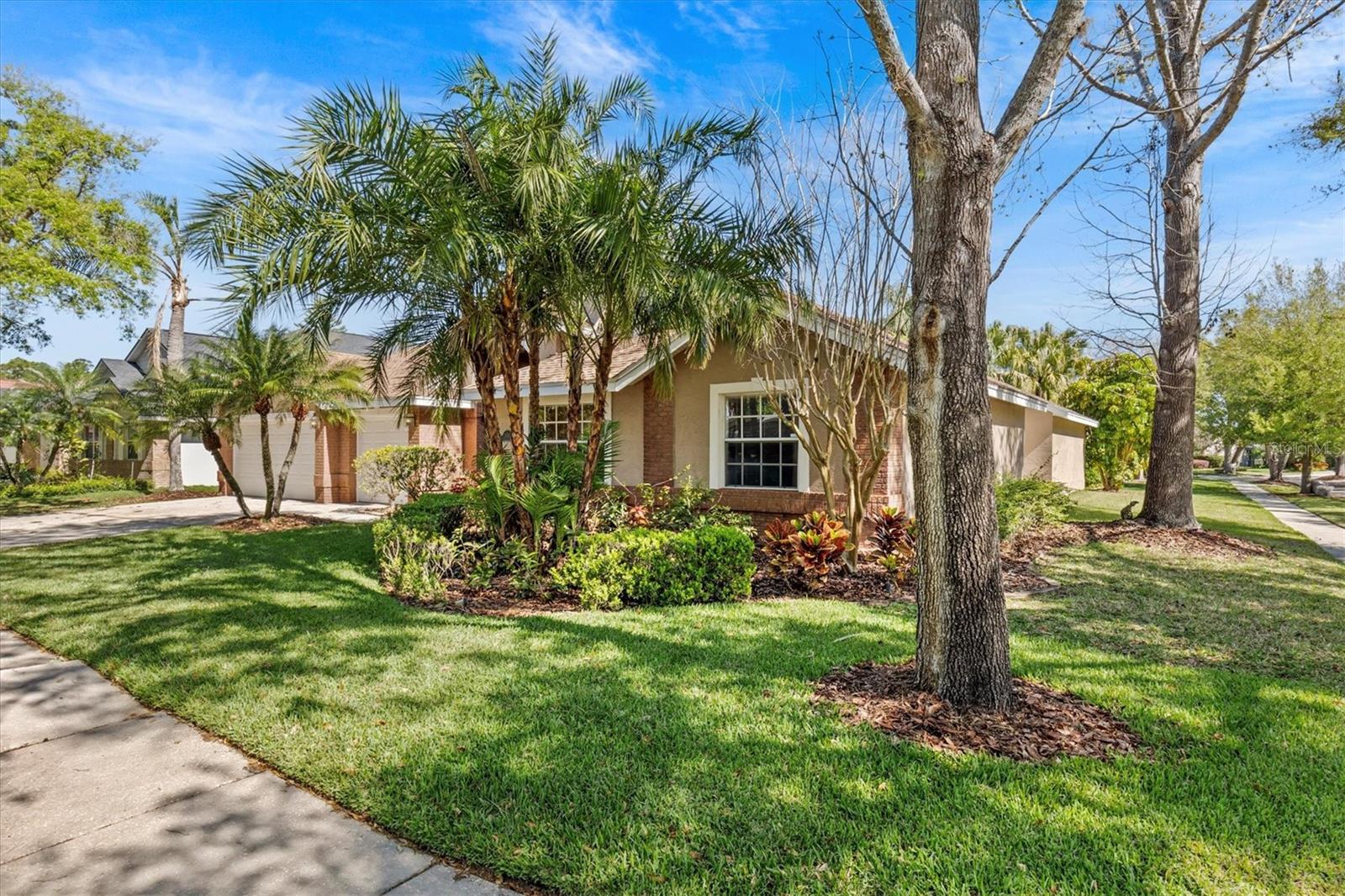 8746 TANTALLON CIR, TAMPA, FL, 33647