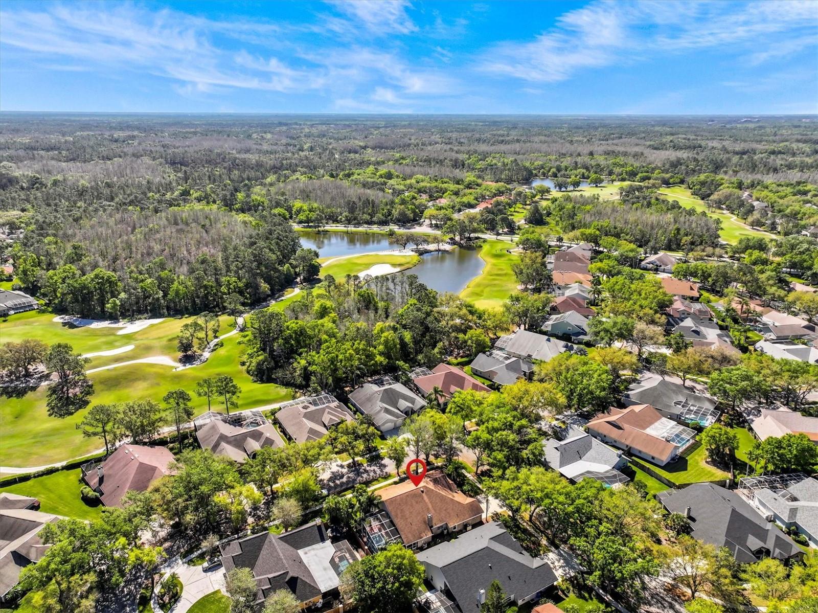 8746 TANTALLON CIR, TAMPA, FL, 33647
