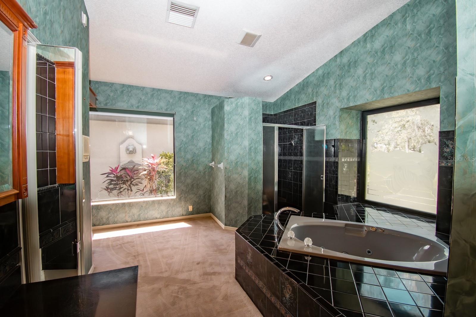 2910 PINE CLUB DR, PLANT CITY, FL, 33566