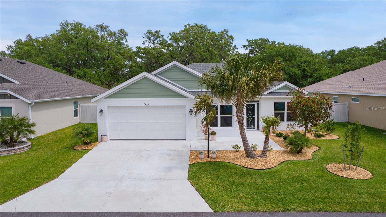 7539 HAGEMEYER PL, THE VILLAGES, FL, 34762