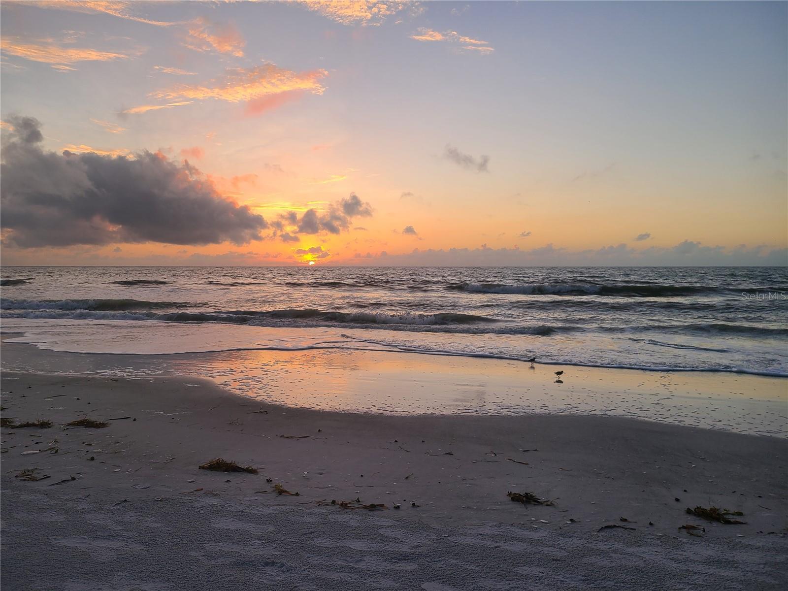 1460 GULF BLVD #1002, CLEARWATER BEACH, FL, 33767