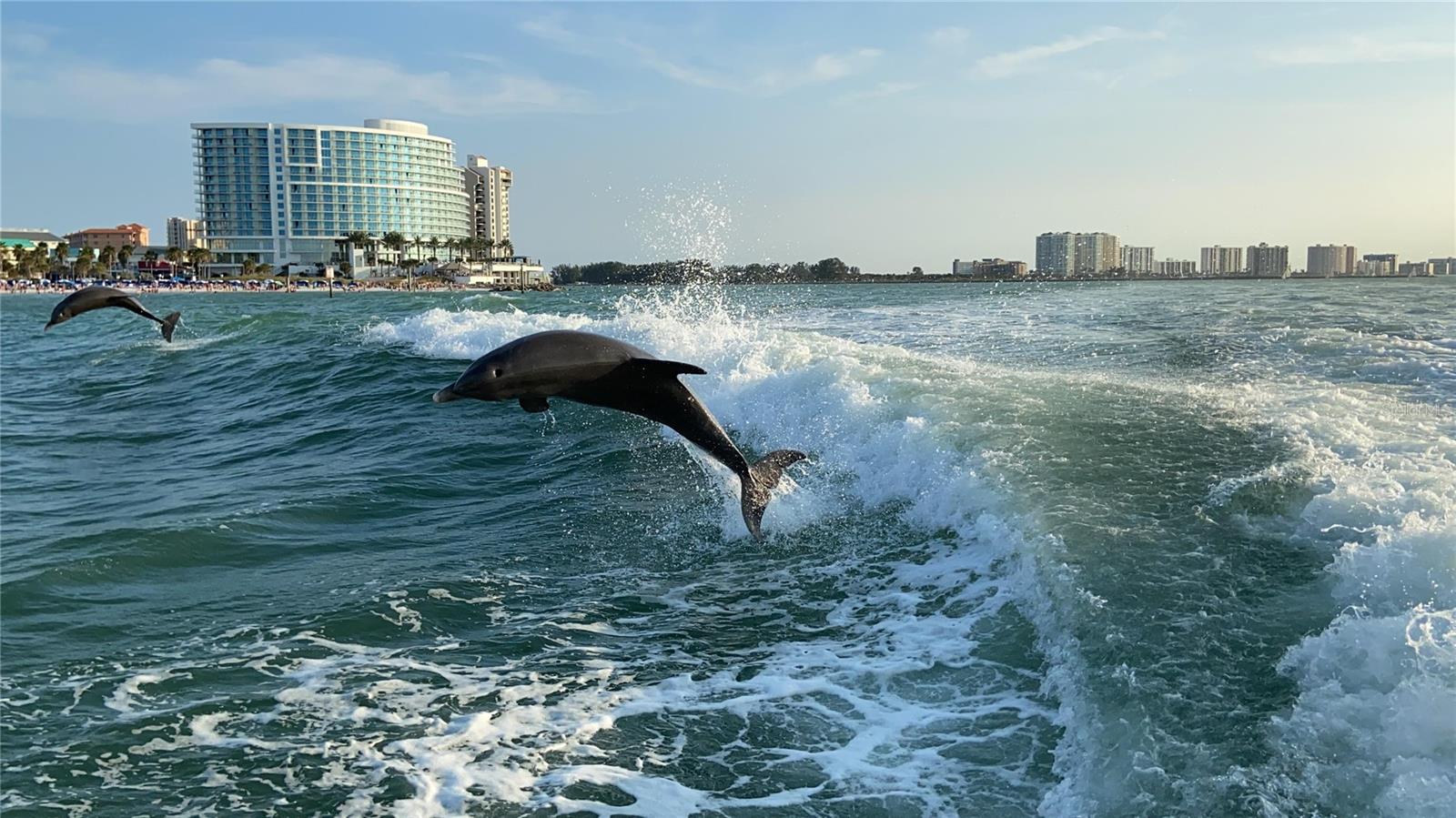 1460 GULF BLVD #1002, CLEARWATER BEACH, FL, 33767
