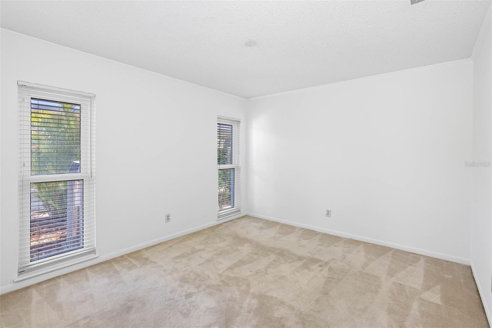 13919 CHERRY CREEK DR, TAMPA, FL, 33618