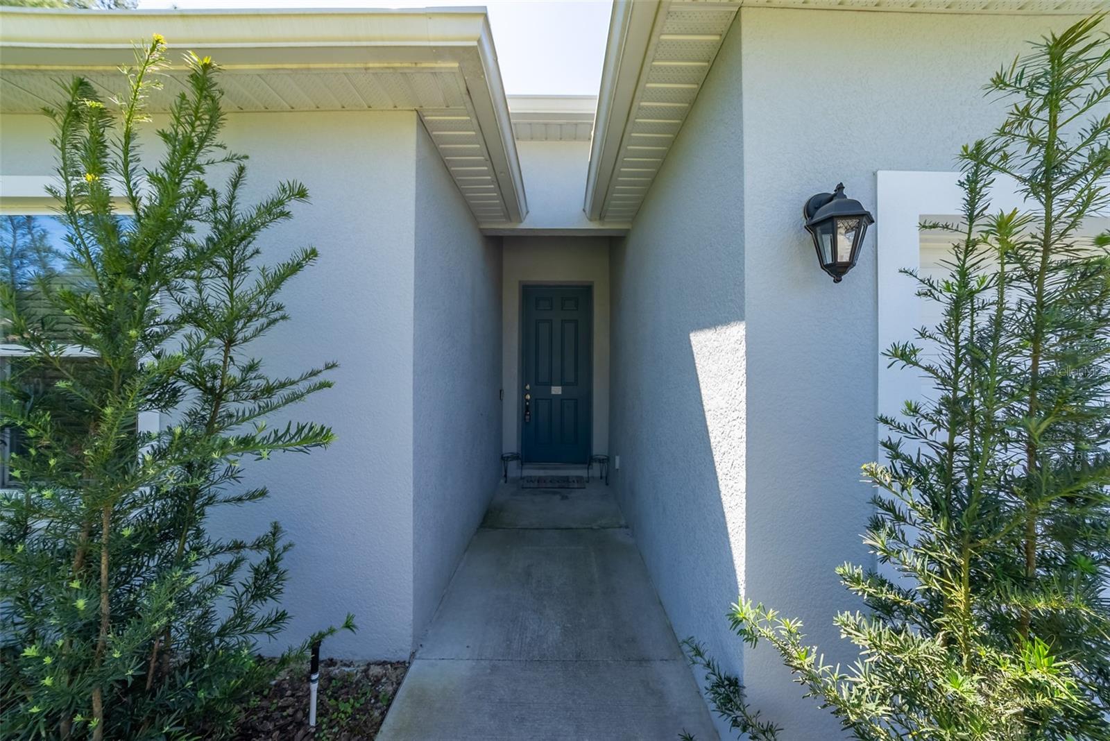 6276 SW 134TH ST, OCALA, FL, 34473
