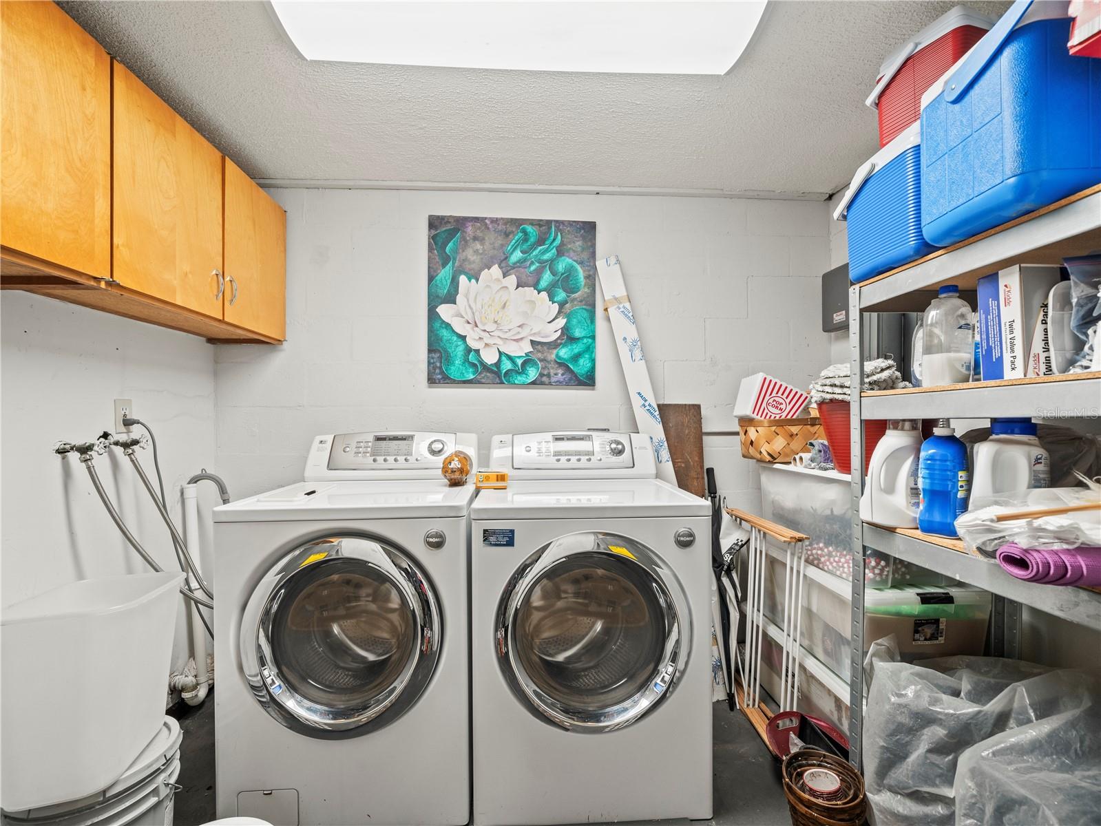 3210 ACACIA ST, LUTZ, FL, 33558