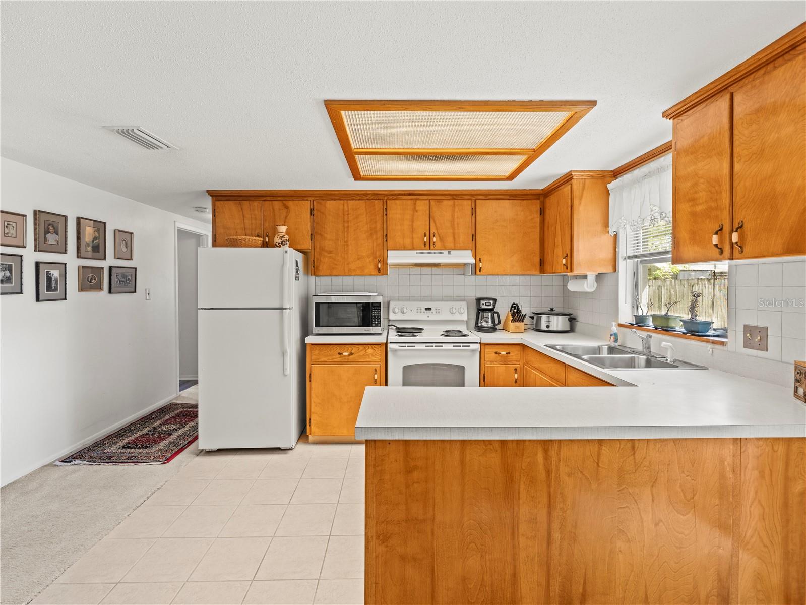 3210 ACACIA ST, LUTZ, FL, 33558