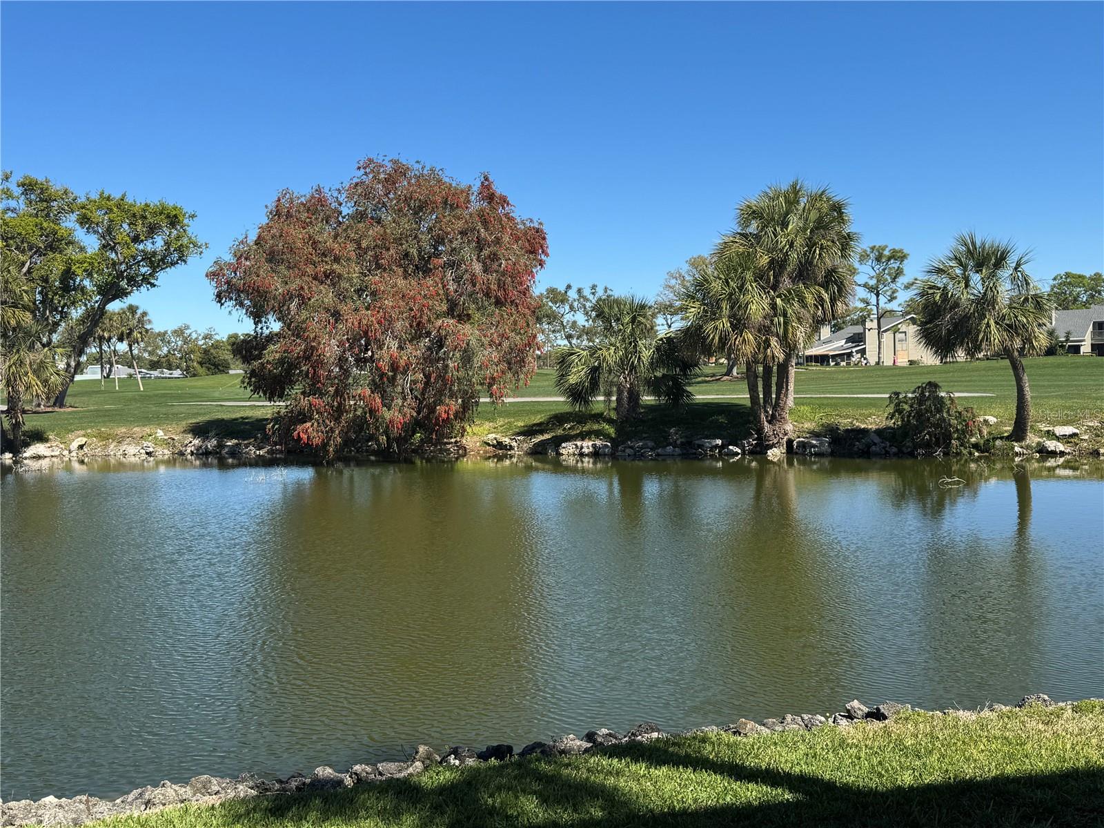 3500 EL CONQUISTADOR PKWY #357, BRADENTON, FL, 34210