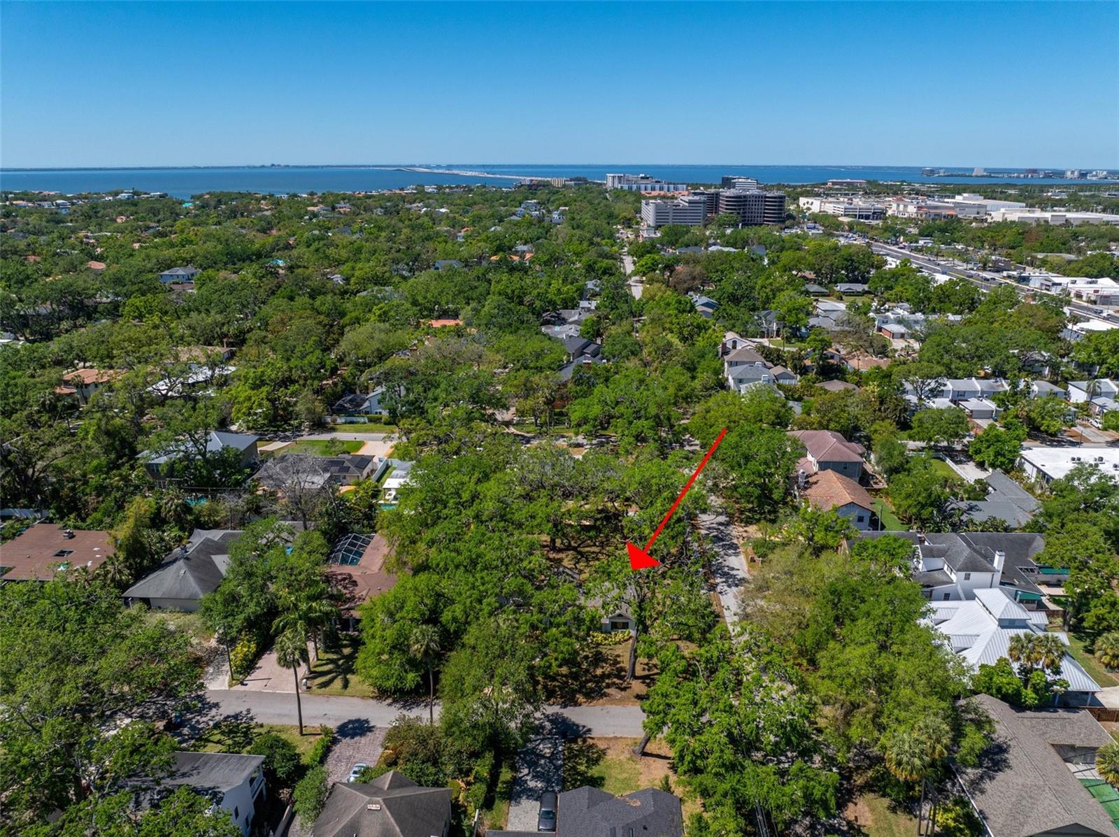 203 S COOLIDGE AVE, TAMPA, FL, 33609